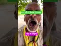 #trendingreels #trendingshorts #trenshort #shortsviral
