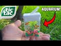 Tic tac box fish aquarium diy