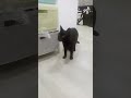 comenta de dónde me sigues