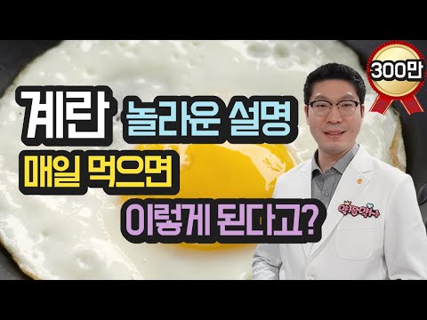 계란 달걀의 모든 설명 - 매일 먹으면 어떤 일이 생기는지 - 계란요리 효과와 주의사항