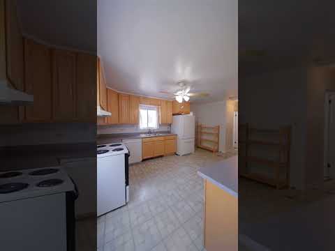 17 S Walnut St, Palatine, IL home video tour