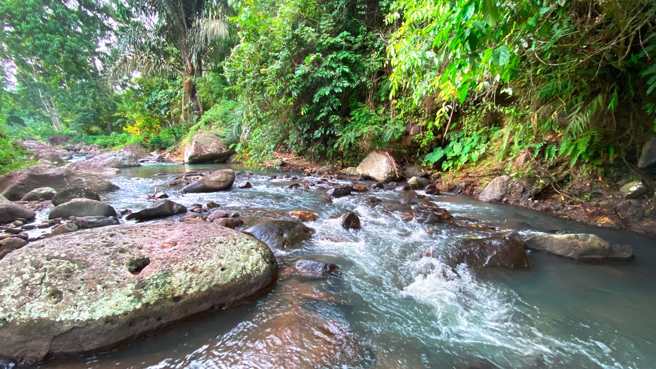 Experience Instant Stress Relief With Calming River Sounds And Serene ...