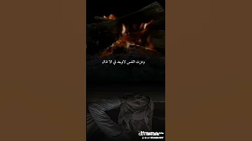 عصر المال 