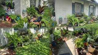 Tips y cuidados de mi paleta 🎨 de pintor o brocha de pintor /recorrido por mi jardíncito #jardin