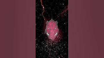 ARKANSAS RAZORBACKS Storm Video Theme with FIGHT SONGS - Official NCAA SEC football and Basketball