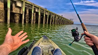 Eating whatever I catch UNDER this MASSIVE JETTY!