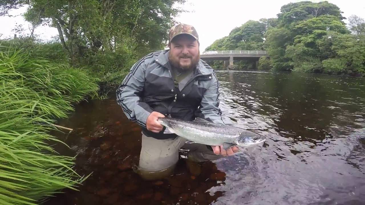 Fly fishing for salmon, River Finn, Co. Donegal, Ireland YouTube