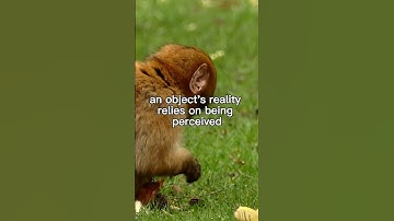 Perception and Reality: George Berkeley