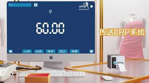 BDS -- DJ series  Jewellery  scales  connect  jewelry software to  output the  weight  data