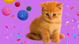 ИГРА С КОТЕНКОМ.СЮРПРИЗ ДЛЯ НАСТИ.РЫЖИЙ КОТЕНОК.ВИДЕО ДЛЯ ДЕТЕЙ. ИГРА С КОТЕНКОМ.СЮРПРИЗ ДЛЯ НАСТИ.РЫЖИЙ КОТЕНОК.ВИДЕО ДЛЯ ДЕТЕЙ.