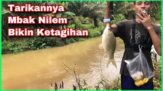 Mantap Jiwa - Mancing Ikan Nilem Terbesar Yang Pernah Saya Dapat