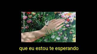 Volta - O Terno (Legendado)