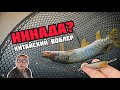 НЕОБЫЧНЫЙ ВОБЛЕР С АЛИЭКПРЕСС | Kитайская реплика на Jackall Riser Bait 004 | LTHTUG LW75