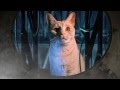 Mission Control to CAT