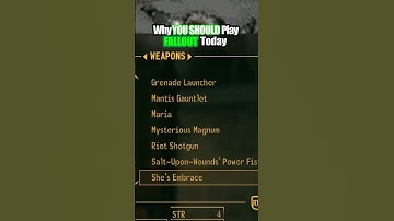 Basically My ONLY Criticism #gaming #gamedesigning #fallout #gamedesigntutorial #retro #gamedesigner