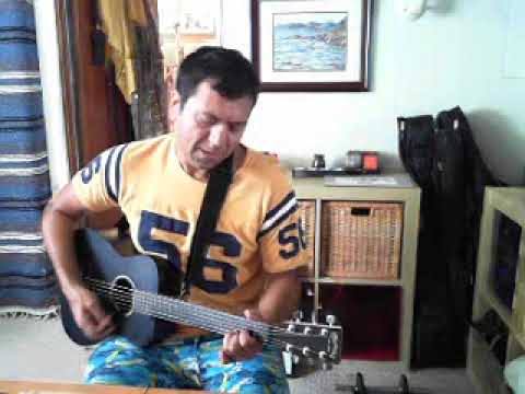 Too Much Pride  (Chris Rea) - Acoustic Cover #2