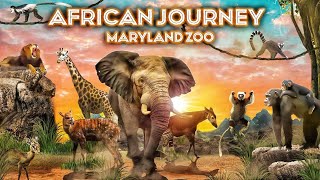 Zoo Tours Ep 94: The African Journey | Maryland Zoo