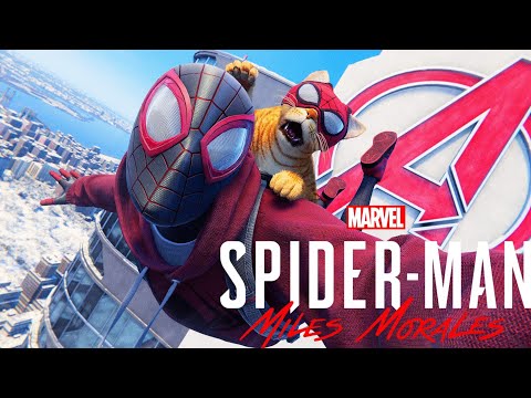 Video: Come Insomniac Ha Rubato Il Cuore Di Spider-Man