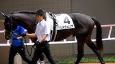 競馬 レマンコ 絶叫の２着 やっぱりマズくない この馬名 追込鋭いレマンコに実況が絶叫 Youtube