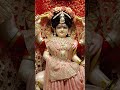 #jaimaabagalamukhi #maa #jaimatadi #maharani #maateshwari #rajrajeshwari manbagalamukhi#janmutsav