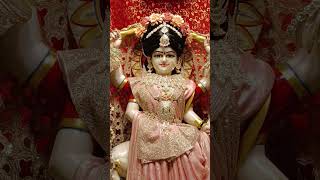 #jaimaabagalamukhi #maa #jaimatadi #maharani #maateshwari #rajrajeshwari manbagalamukhi#janmutsav