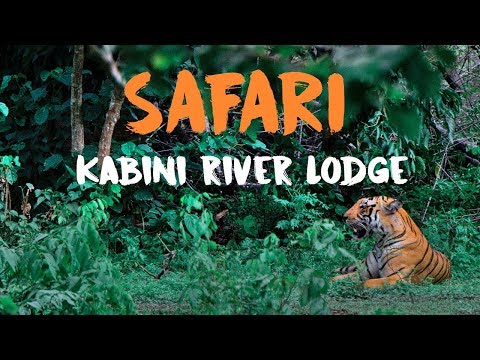 ON SAFARI AT KABINI RIVER LODGE (Nagarhole National Park & Tiger Reserve) // VLOG #009