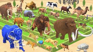 Ultimate Maze Run Race 23 Wild Animals: Which is the Fastest Animal? Animal Revolt Battle Simulator