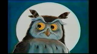 Meet Wide Eye Meet Wide Eye