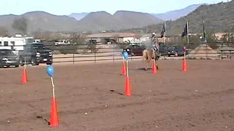 Janel Miller Cowboy Mounted Shooting