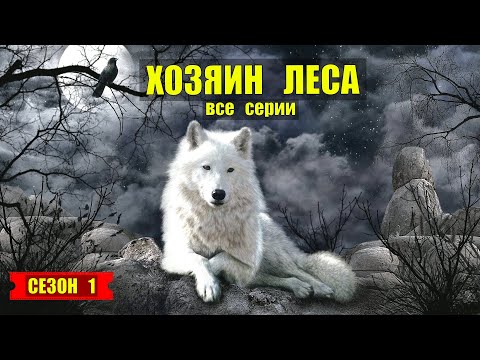 Сериал 2023 Хозяин Леса Медведь И Волк Судьба В Тайге Страшные Истории Из Жизни Отшельник В Лесу
