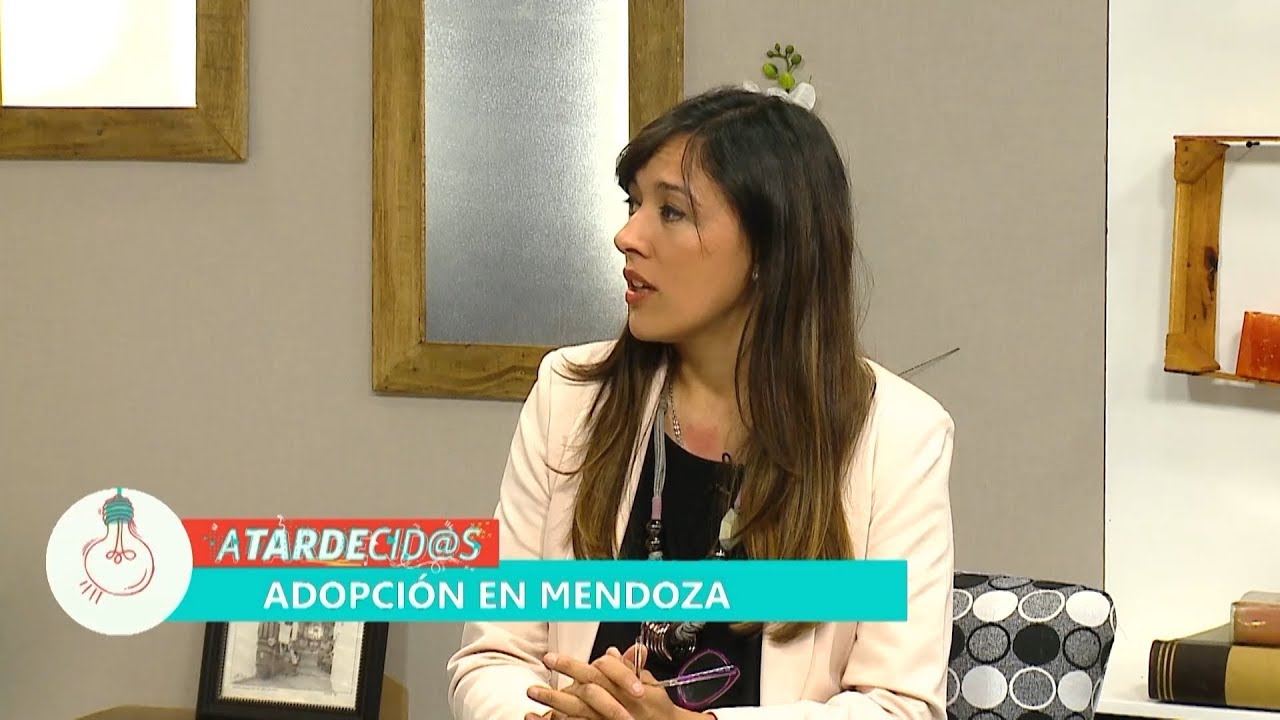 Mitos y verdades sobre la adopción en Mendoza señales de transito en suiza