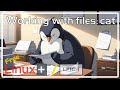 Free Linux+/LPIC-1 - cat command - Module 3.2 - Full Free Training Course