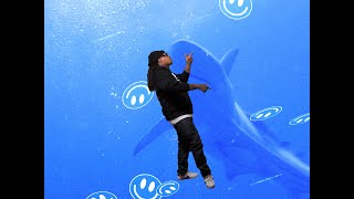 Jarv Dee - Deep End (ft. Sneakguapo)