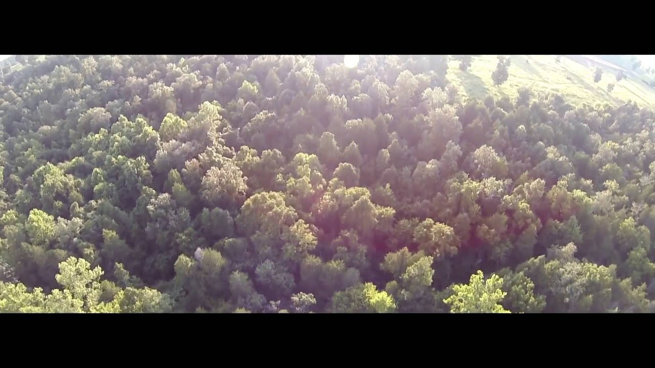 Wilderness YouTube