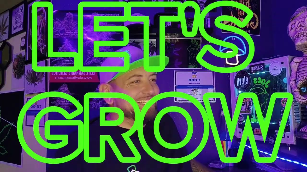 Joe's Grows: Cultivating Your Green Thumb