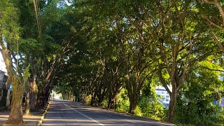 Walking in BRASIL - Beautiful Streets of Joinville SC (April 15, 2020)