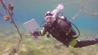 Underwater Art Classes with Olga Nikitina Red Sea Shams Safaga Diving Center
