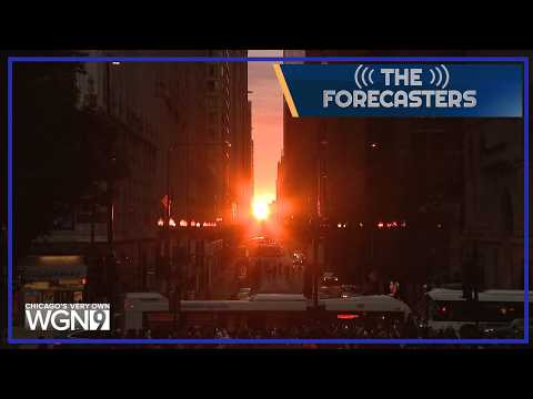 Spectacular Chicagohenge, powerful Hurricane Polo, invasive parakeets and more -- The Forecasters