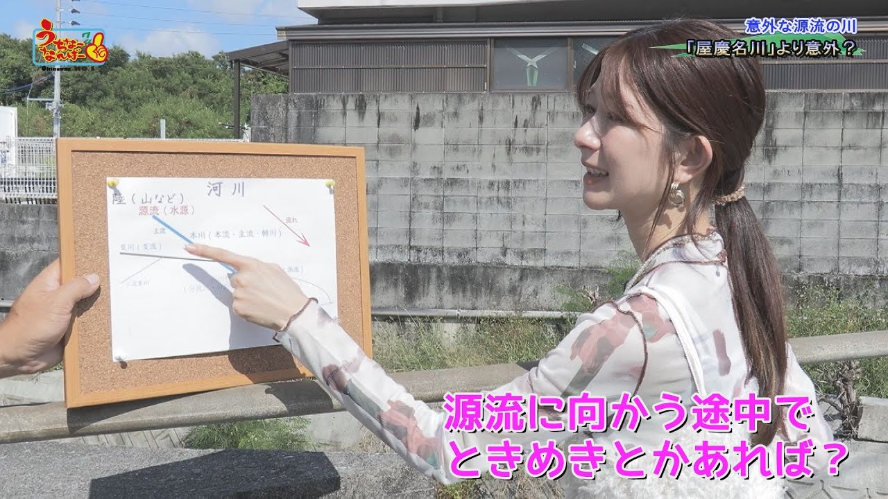 こさたに YouTube