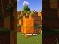 Slime Blocks + Honey: The Secret Bounce Combo
