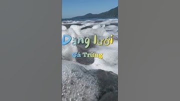 Dăng Lưới Bắt Cá Trứng l Smelt Fishing #fishing #smeltfishing #câucábiển