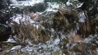 Calm Flowing Water Sounds | Soft Rippling Stream for a Peaceful Atmosphere
