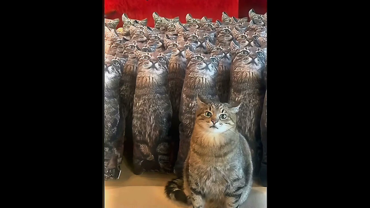 ATB - 9 PM (Speed up)