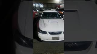 CLEAN ASS MUSTANG GT