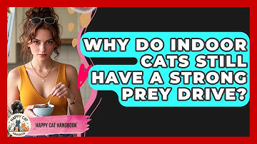 Why Do Indoor Cats Still Have A Strong Prey Drive? - Happy Cat Handbook