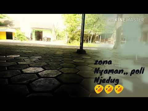 Story Wa Zona Nyaman Reggae Youtube