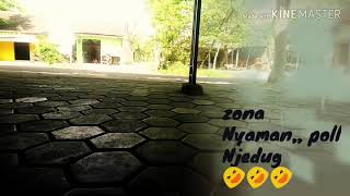 Story wa!!! Zona Nyaman Reggae