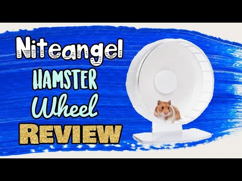 Niteangel Hamster Wheel Review
