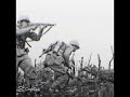 ww2 edit