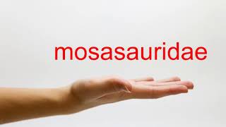 How To Pronounce Mosasauridae - American English